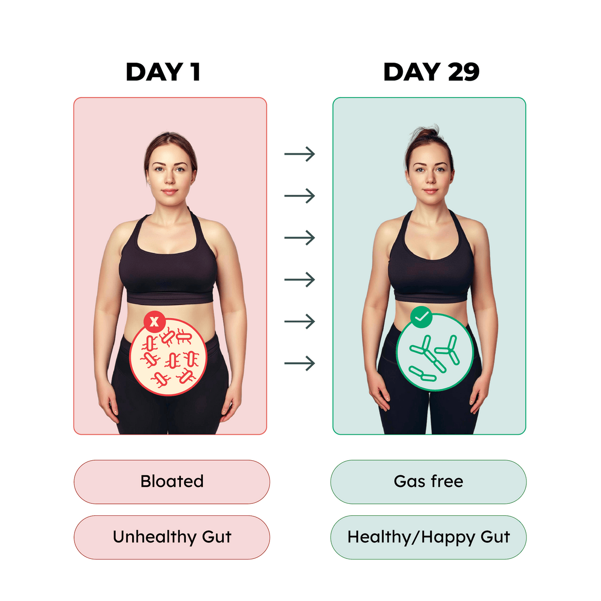 Bala Pre+Probiotics - Black Friday Offer