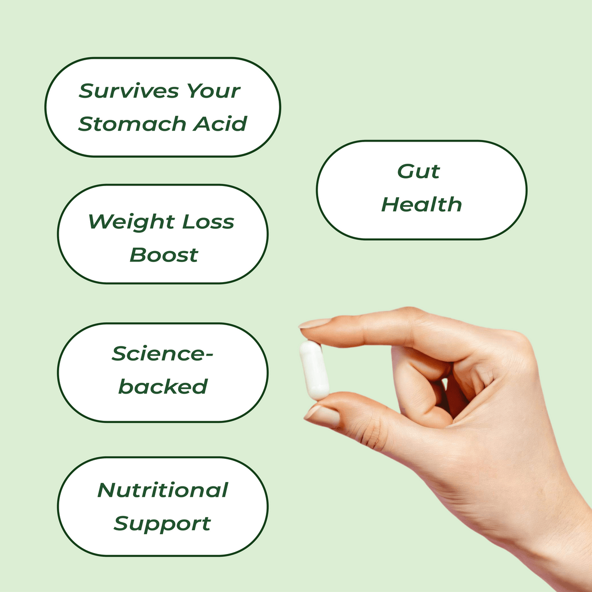 Bala Pre+Probiotics - Black Friday Offer
