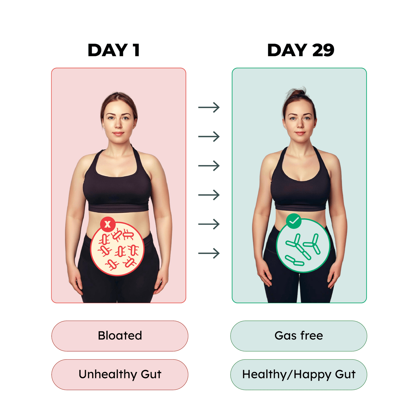 Bala Pre+Probiotics - Black Friday Offer